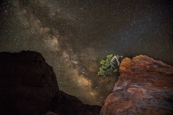 Samanyolu Zion Ulusal Parkı, Utah 