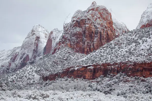 Utah, Zion Ulusal Parkı 'ndaki Zion Kanyonu' na taze kar yağdı.