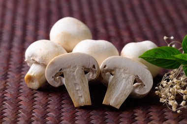 Taze beyaz şampiyon mantarı. Yaklaş.