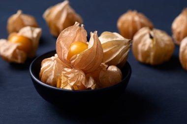 Cape bektaşi üzümü, altın çilek veya yer kirazı (Physalis peruviana), olgun portakal meyvesi