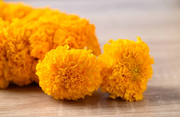 Yellow marigold flower garland on wooden background, Spiritual flower