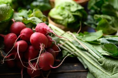 Fresh organic vegetables from local farmers market in spring season, Sustainability concept