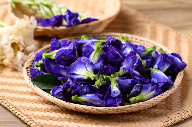 Mavi kelebek bezelye çiçeği, Güneydoğu Asya mutfağında doğal gıda boyası