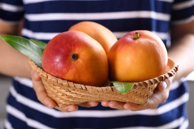 Mango meyvesi (Tommy Atkins) sepette bir kadının elinden tutarak, Tropikal meyve