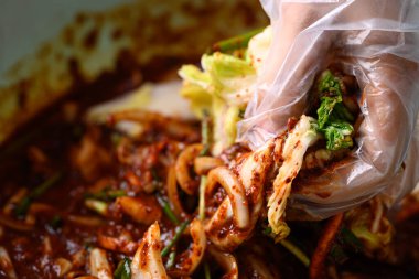 Kore yemeği, kimchi lahanası elle pişirme, ev yapımı mayalanmış meze.