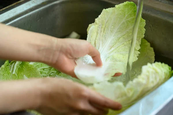 stock image Washed Chinese cabbage prepare for Korean kimchi cabbage