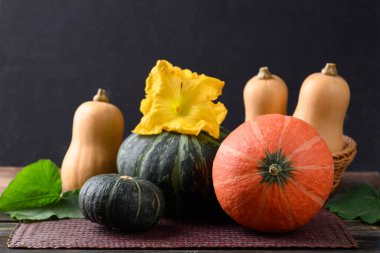 Balkabağı ve tereyağlı kabak siyah arka planlı ahşap masa, sonbahar mevsiminde organik sebze.