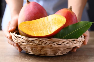 Mango meyvesi (Palmer mangosu), ahşap zemin üzerinde elle sepette, tropikal meyve