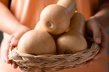 Elle tutulan kabak kabağı, sonbahar mevsiminde organik sebze.