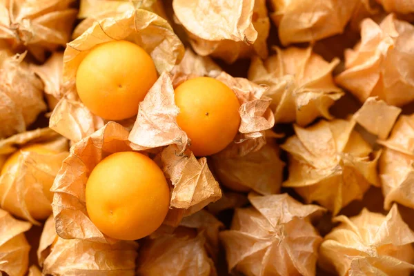 Cape bektaşi üzümü, Goldenberry veya Physalis Peruviana. Turuncu meyve arkaplan dokusu