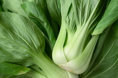 Bok choy ya da Pak choi (Çin lahanası) desenli arka plan