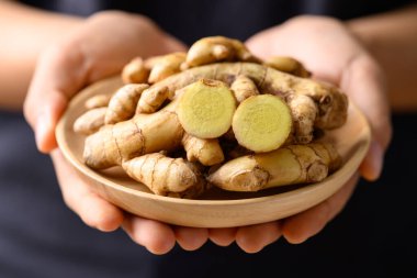 Tahta kasede taze beyaz zerdeçal, Asya mutfağında baharat.