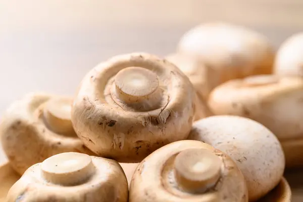 Fresh Champignon Mushroom Food Ingredient Royalty Free Stock Photos