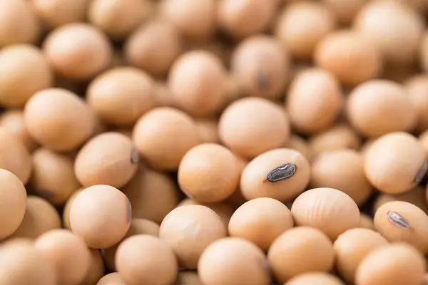 stock image Soy bean seeds texture background, Food ingredient