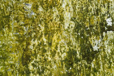 Grunge eski taş zemin desen arka planı