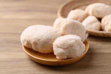 Aslan mantarı ya da Yamabushitake mantarı.