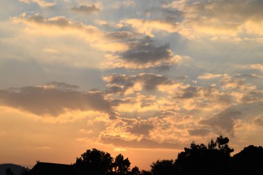 Güzel vanilya gökyüzü ve güneş ışığı olan bulutlar ağacın üstünde, doğa arka planında.