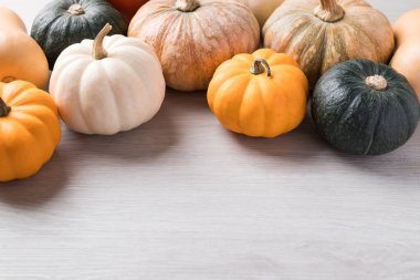 Kopyalama alanı olan beyaz arkaplanda çeşitli balkabakları