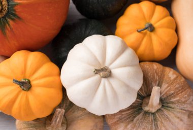 Çeşitli balkabağı geçmişleri, tarım ve hasat, Top view