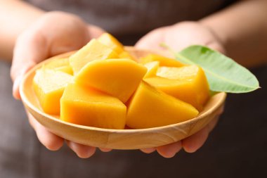 Elle tutulan tahta tabakta küp mango yemeye hazır, yaz mevsiminde tropik meyve.