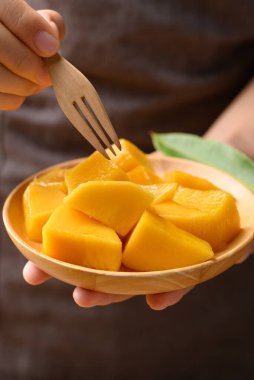 Elle tutulan tahta tabakta küp mango yemeye hazır, yaz mevsiminde tropik meyve.