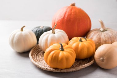 Beyaz arka planda çeşitli balkabakları, tarım ve hasat