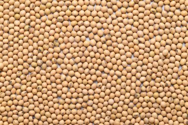 Soya tohumu dokusu arka plan, gıda malzemesi, üst manzara.