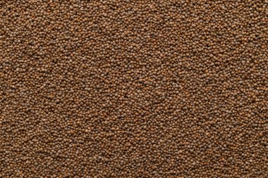 Perilla tohumu dokusu arka plan, gıda malzemesi, üst görünüm