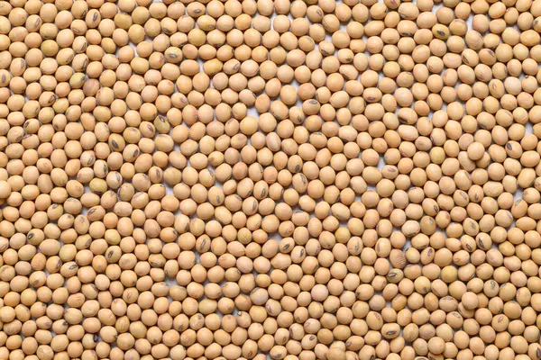 Soya tohumu dokusu arka plan, gıda malzemesi, üst manzara.