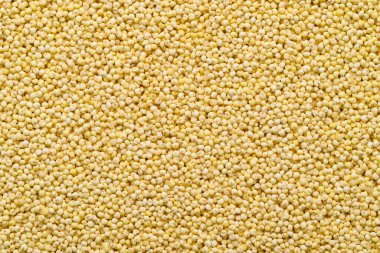 Sarı darı tahıl dokusu arka plan, besin bileşeni