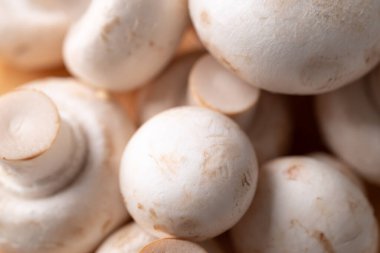 Beyaz Düğme mantarı veya Şampiyon mantarı (Agaricus bisporus) doku arka planı, besin bileşeni