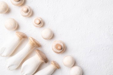 Beyaz arka plan, yenilebilir mantar, yiyecek malzemeleri üzerine taze Şampiyon mantarı (botton mantarı) ve Kral istiridye mantarı (Eryngii mantarı) üst görünümü