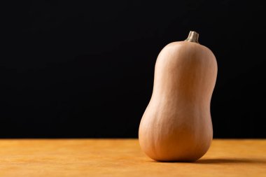 Turuncu ve siyah arka planda taze tereyağlı balkabağı, sonbahar mevsiminde sebze, yiyecek malzemesi.