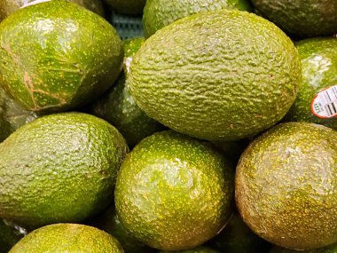 radish icon. Line Art Style Design Isolated On White Background