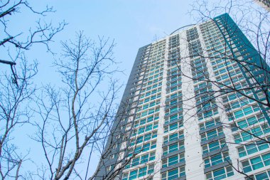 yeşil şehir - yemyeşil orman ve modern gökdelenlerin pencerelerinin iki katı