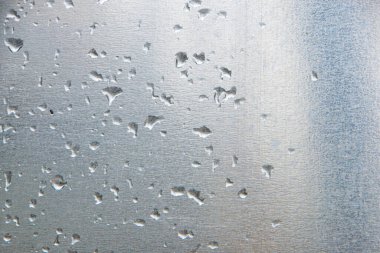 Wooden background or texture. Burnt wood with knots. High quality photo