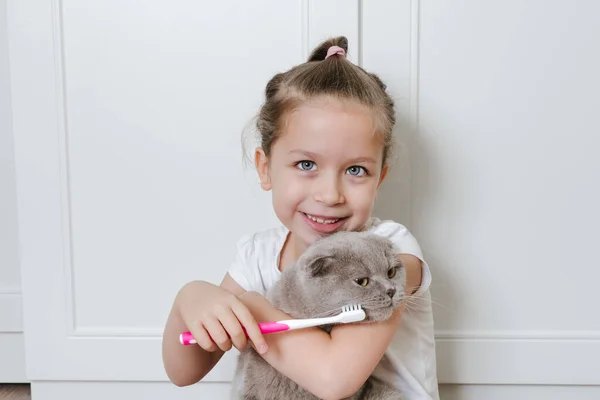 The small funny girl brushing cat\'s teeth with toothbrush. Pet\'s health concept. Oral higiene,stomatology