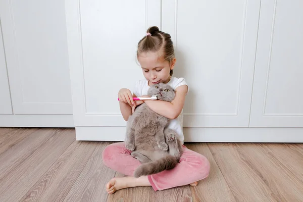 Pequena Garota Engraçada Escovando Dentes Gato Com Escova Dentes Conceito — Fotografia de Stock