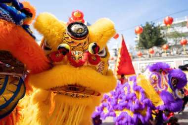 Dragon and lion dance show in chinese new year festival (Tet festival ), lion Dance - dragon and lion dance street performances in Vietnam. Holidays and celebrations concept. Selective focus.