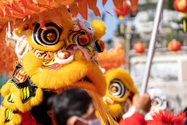 Dragon and lion dance show in chinese new year festival (Tet festival ), lion Dance - dragon and lion dance street performances in Vietnam. Holidays and celebrations concept. Selective focus.