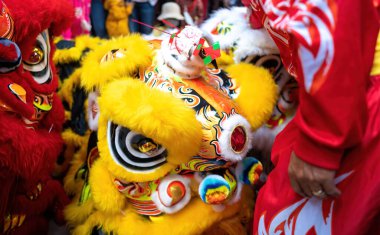 Dragon and lion dance show in chinese new year festival (Tet festival ), lion Dance - dragon and lion dance street performances in Vietnam. Holidays and celebrations concept. Selective focus.