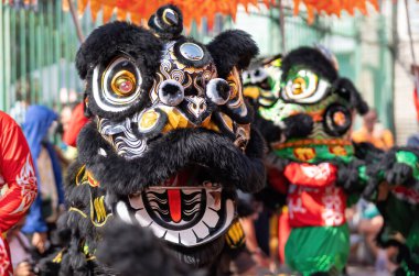 Dragon and lion dance show in chinese new year festival (Tet festival ), lion Dance - dragon and lion dance street performances in Vietnam. Holidays and celebrations concept. Selective focus.