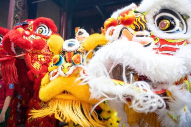 Dragon and lion dance show in chinese new year festival (Tet festival ), lion Dance - dragon and lion dance street performances in Vietnam. Holidays and celebrations concept. Selective focus.