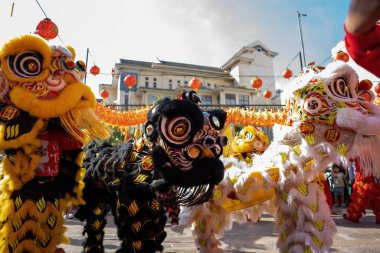 Dragon and lion dance show in chinese new year festival (Tet festival ), lion Dance - dragon and lion dance street performances in Vietnam. Holidays and celebrations concept. Selective focus.