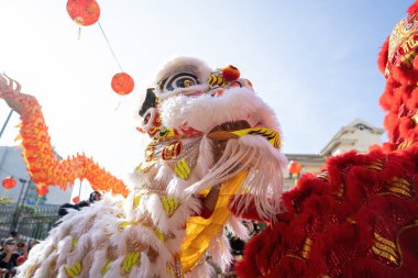 Dragon and lion dance show in chinese new year festival (Tet festival ), lion Dance - dragon and lion dance street performances in Vietnam. Holidays and celebrations concept. Selective focus.