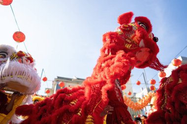 Dragon and lion dance show in chinese new year festival (Tet festival ), lion Dance - dragon and lion dance street performances in Vietnam. Holidays and celebrations concept. Selective focus.