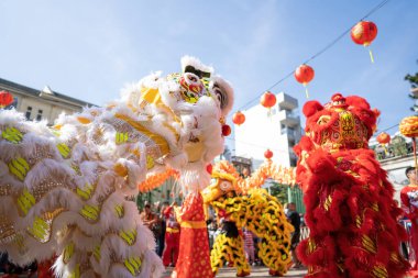 Dragon and lion dance show in chinese new year festival (Tet festival ), lion Dance - dragon and lion dance street performances in Vietnam. Holidays and celebrations concept. Selective focus.
