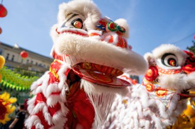 Dragon and lion dance show in chinese new year festival (Tet festival ), lion Dance - dragon and lion dance street performances in Vietnam. Holidays and celebrations concept. Selective focus.