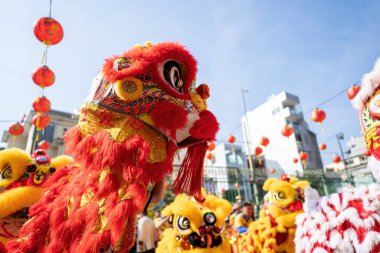 Dragon and lion dance show in chinese new year festival (Tet festival ), lion Dance - dragon and lion dance street performances in Vietnam. Holidays and celebrations concept. Selective focus.