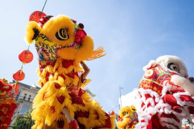 Dragon and lion dance show in chinese new year festival (Tet festival ), lion Dance - dragon and lion dance street performances in Vietnam. Holidays and celebrations concept. Selective focus.